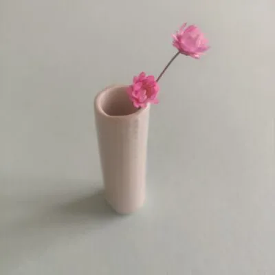 In a gentle and pale setting, the Mini Porcelain White Vase elegantly displays two fragile pink flowers.