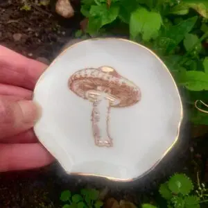 A close-up of the Enchanted Forest Porcelain Mushroom Ring Holder, showcasing its detailed mushroom illustration and gold lustre, held by a hand against a backdrop of green leaves.